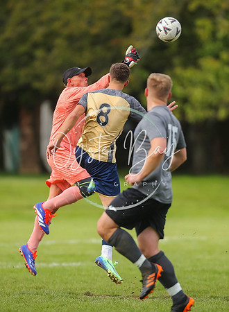 SouthEastSwans_1-4_Egerton_151