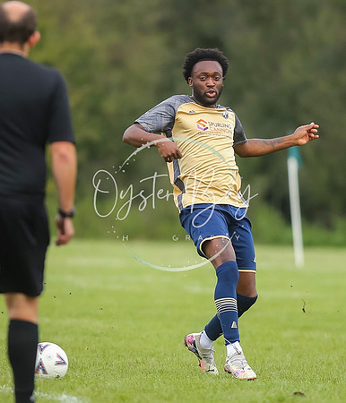 SouthEastSwans_1-4_Egerton_152