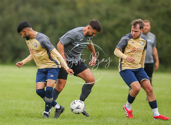 SouthEastSwans_1-4_Egerton_155