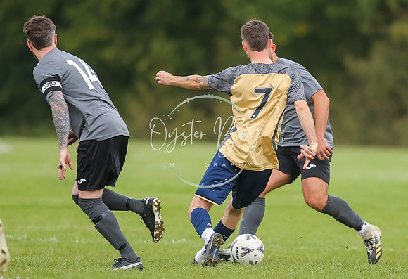 SouthEastSwans_1-4_Egerton_153