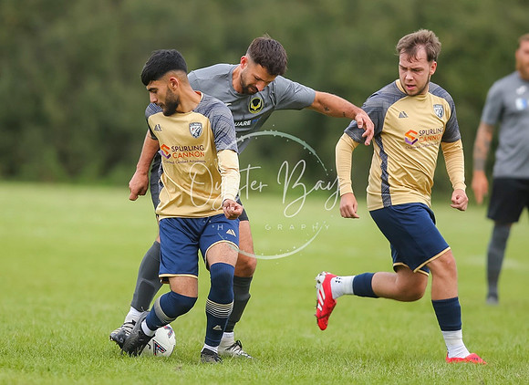 SouthEastSwans_1-4_Egerton_154