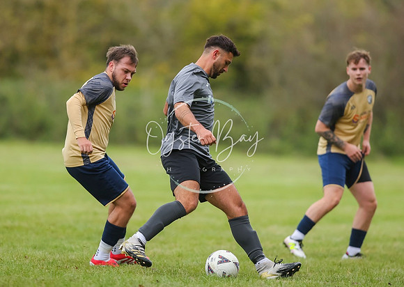 SouthEastSwans_1-4_Egerton_157