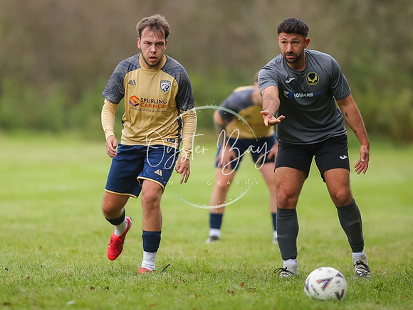 SouthEastSwans_1-4_Egerton_158