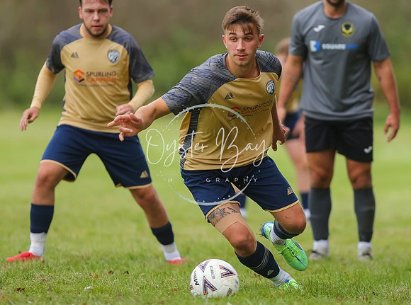 SouthEastSwans_1-4_Egerton_159