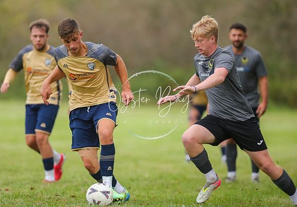 SouthEastSwans_1-4_Egerton_162