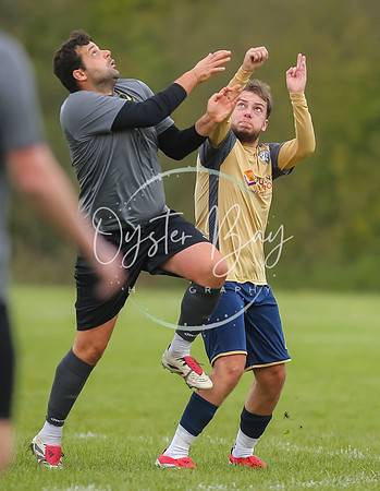 SouthEastSwans_1-4_Egerton_163