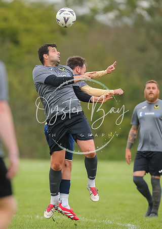 SouthEastSwans_1-4_Egerton_164