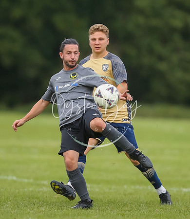 SouthEastSwans_1-4_Egerton_167