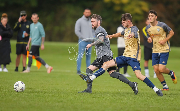 SouthEastSwans_1-4_Egerton_168