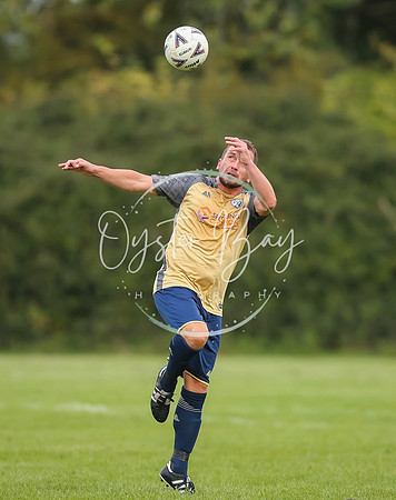 SouthEastSwans_1-4_Egerton_170