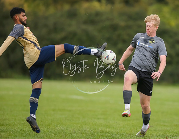 SouthEastSwans_1-4_Egerton_173