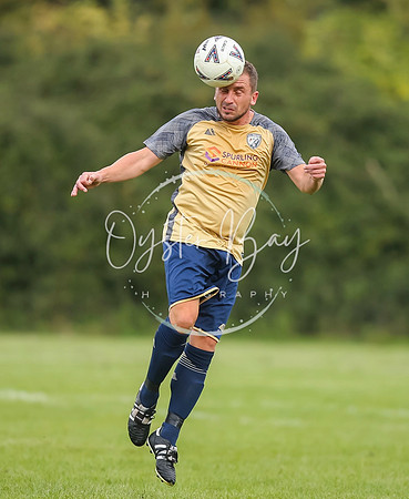 SouthEastSwans_1-4_Egerton_171