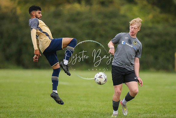 SouthEastSwans_1-4_Egerton_175