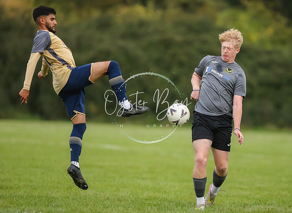 SouthEastSwans_1-4_Egerton_174
