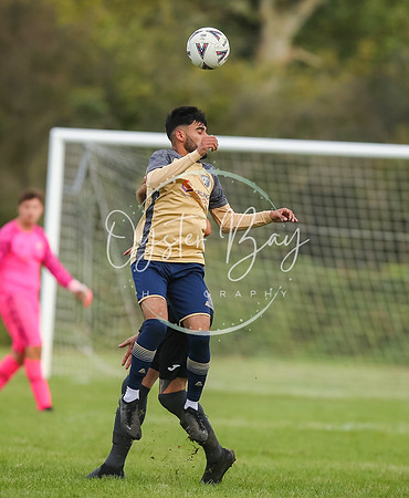 SouthEastSwans_1-4_Egerton_180