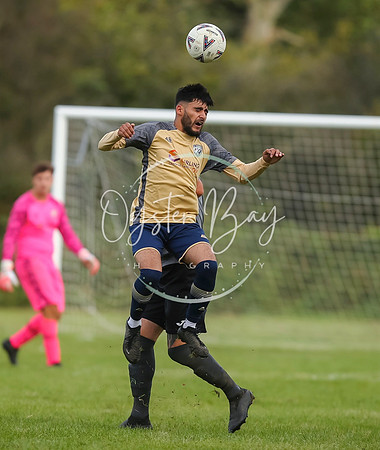 SouthEastSwans_1-4_Egerton_181