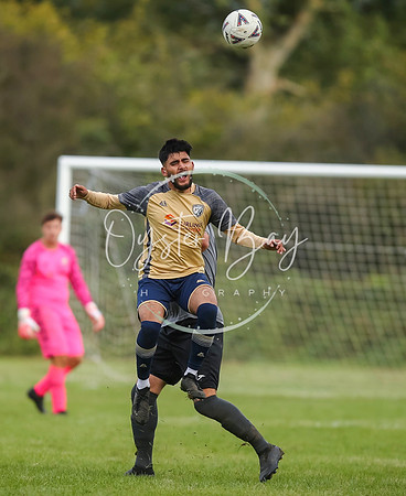 SouthEastSwans_1-4_Egerton_182
