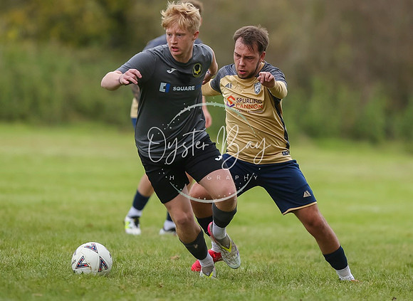 SouthEastSwans_1-4_Egerton_185