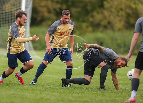 SouthEastSwans_1-4_Egerton_184