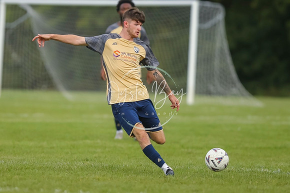 SouthEastSwans_1-4_Egerton_187