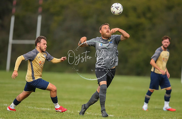 SouthEastSwans_1-4_Egerton_190