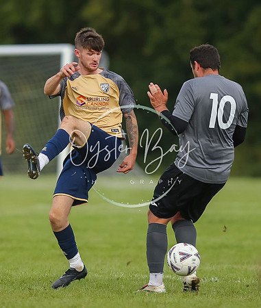 SouthEastSwans_1-4_Egerton_189