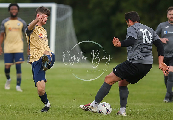 SouthEastSwans_1-4_Egerton_188