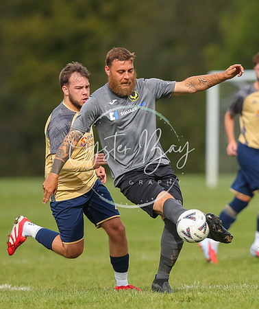 SouthEastSwans_1-4_Egerton_192
