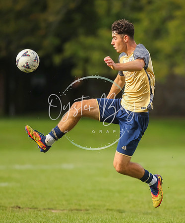 SouthEastSwans_1-4_Egerton_200