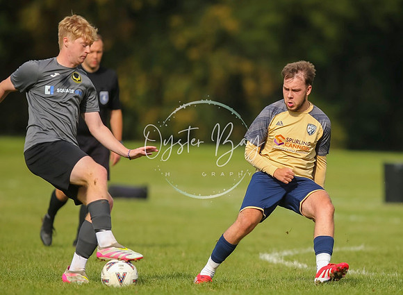 SouthEastSwans_1-4_Egerton_205