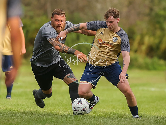 SouthEastSwans_1-4_Egerton_209