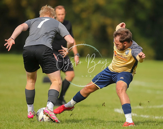 SouthEastSwans_1-4_Egerton_207
