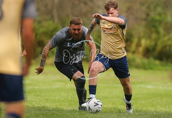 SouthEastSwans_1-4_Egerton_210