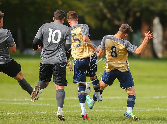 SouthEastSwans_1-4_Egerton_211
