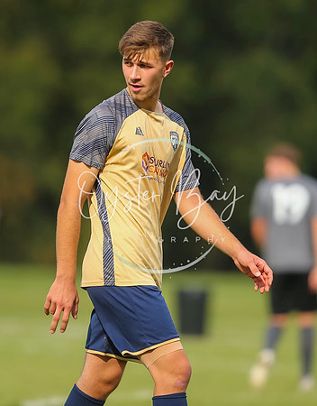 SouthEastSwans_1-4_Egerton_212