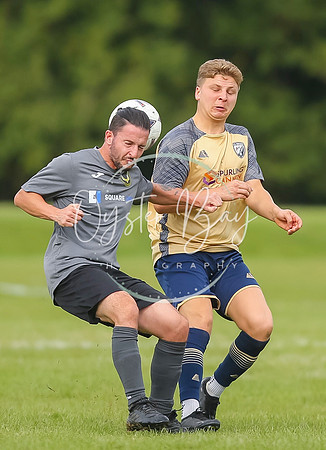 SouthEastSwans_1-4_Egerton_213