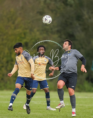 SouthEastSwans_1-4_Egerton_214