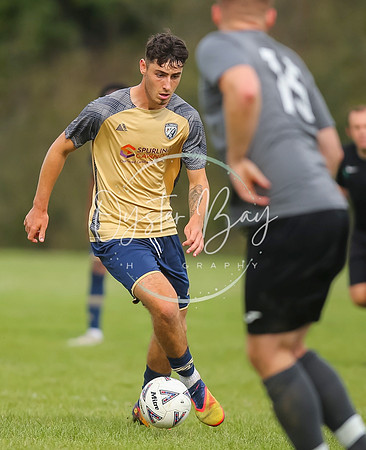 SouthEastSwans_1-4_Egerton_216
