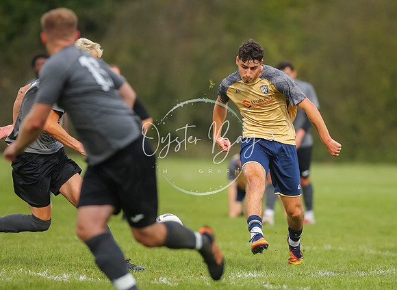 SouthEastSwans_1-4_Egerton_217