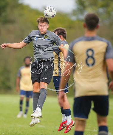 SouthEastSwans_1-4_Egerton_219