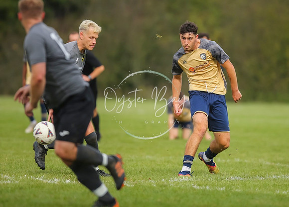 SouthEastSwans_1-4_Egerton_218