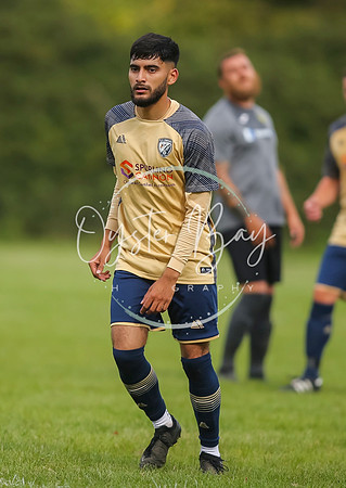 SouthEastSwans_1-4_Egerton_220