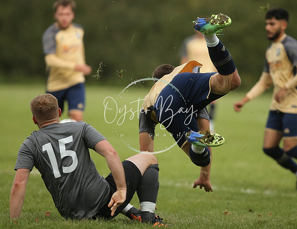 SouthEastSwans_1-4_Egerton_222