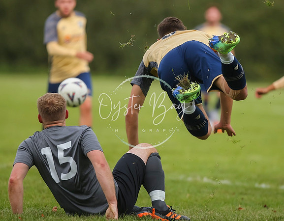 SouthEastSwans_1-4_Egerton_221