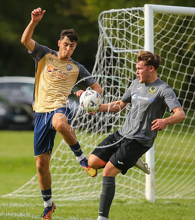 SouthEastSwans_1-4_Egerton_226