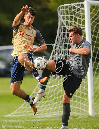 SouthEastSwans_1-4_Egerton_227