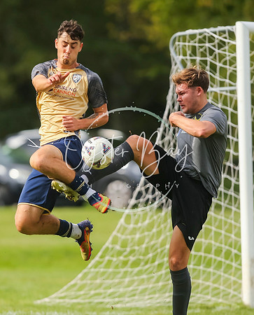 SouthEastSwans_1-4_Egerton_228