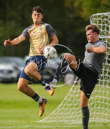 SouthEastSwans_1-4_Egerton_229
