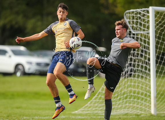 SouthEastSwans_1-4_Egerton_230