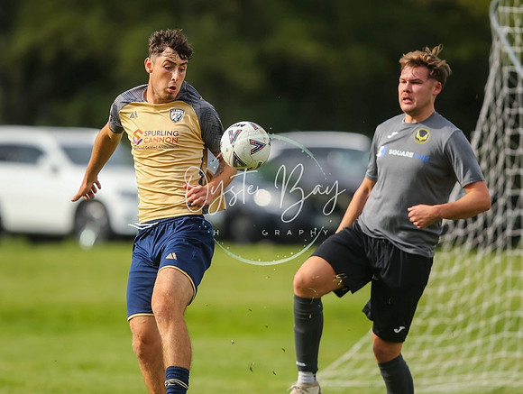 SouthEastSwans_1-4_Egerton_231